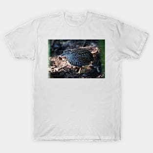 Button Quail T-Shirt